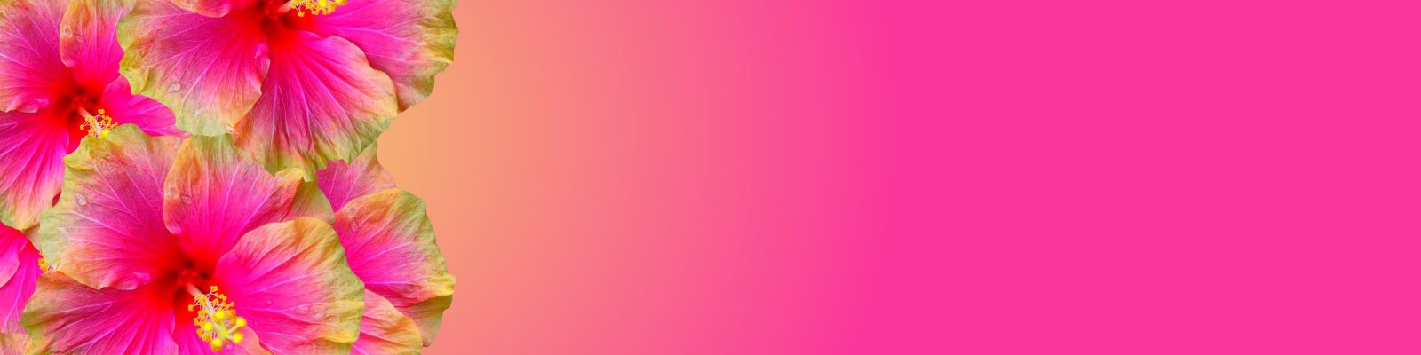 optimized-gitp optimized-gitp